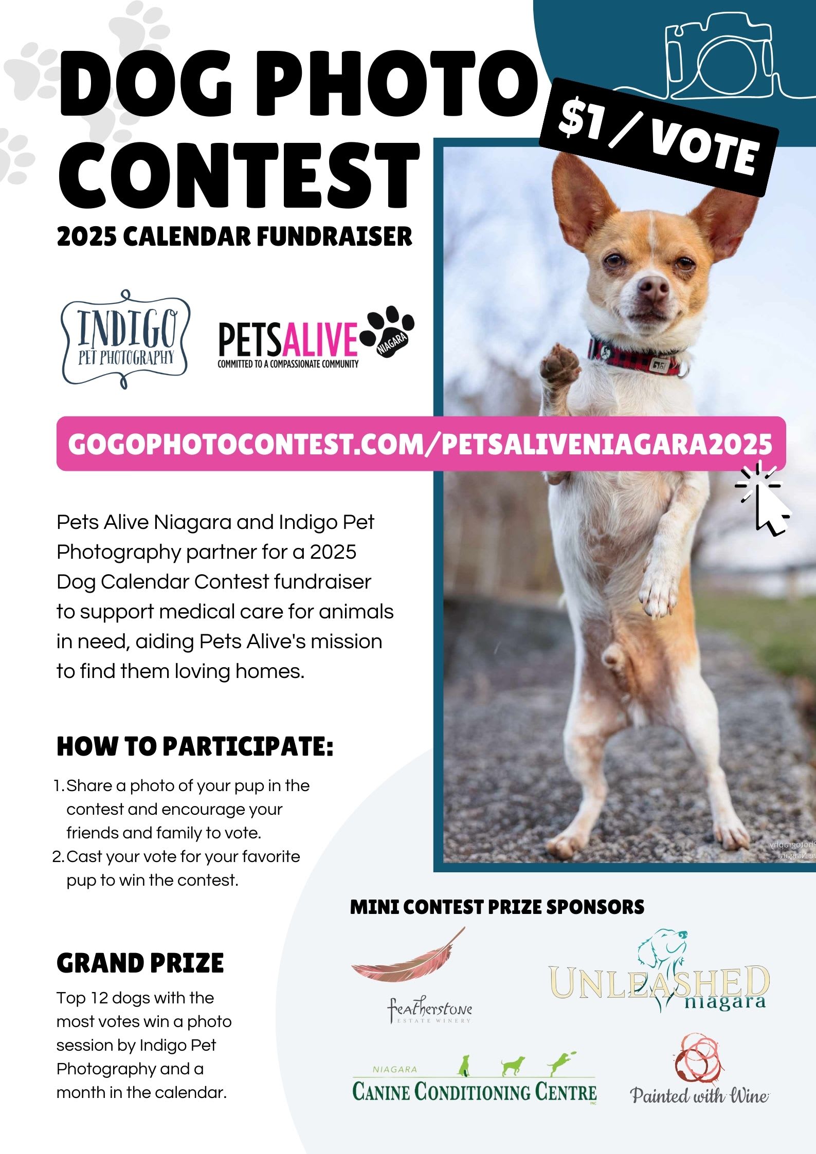 Dog Photo Contest Calendar 2025